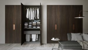 Custom Closets Designers In Tedder  (historical) FL