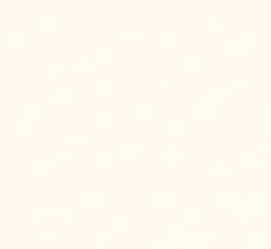 Just White (BI)