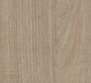 Rovere Bruges Tranchè (0T8)